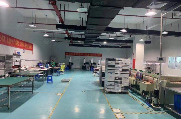 11米高的红本重工业厂房独栋厂房来了，现成豪华装修免费送