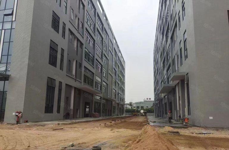 大塘龙大高速出口全新独院红本产业园招租