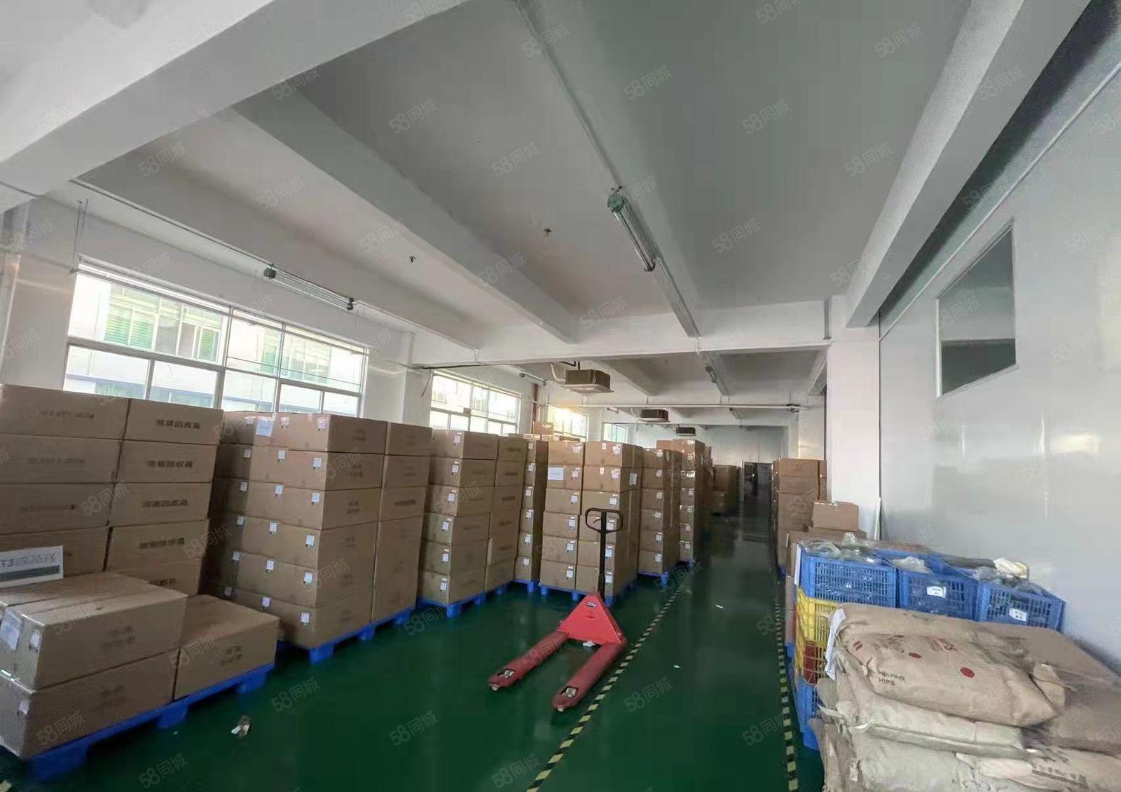 大岭山豪华装修标准厂房3楼1800平出租无转让费