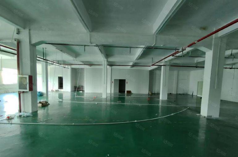 精装修  大岭山厂房出租1000平   超大空地可分租可办环