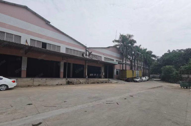 大岭山杨屋带卸货平台单一层钢构低价厂房出租2000平滴水8米