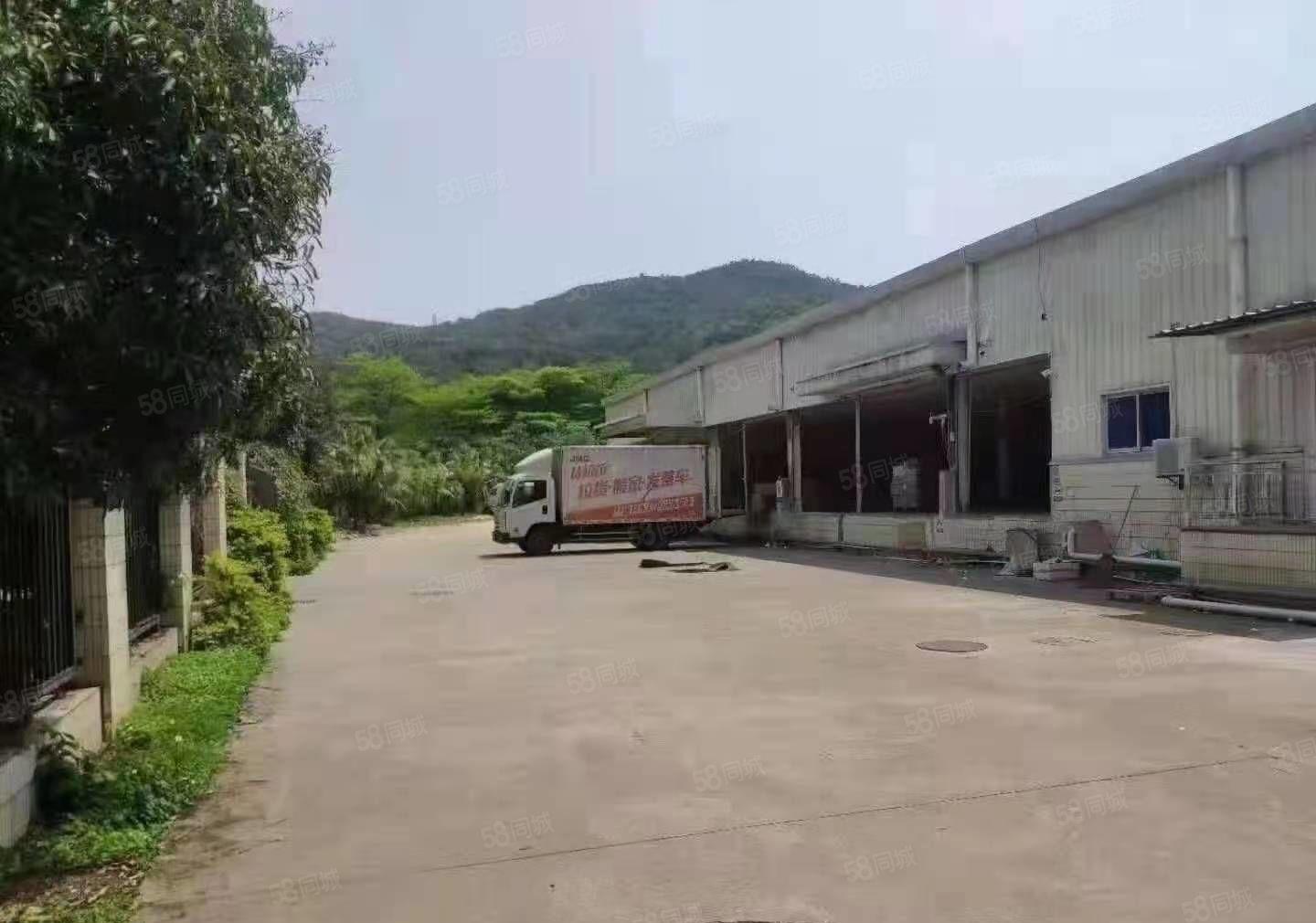 大岭山杨屋107国道边新出独院钢构7500平方招租带卸货平台