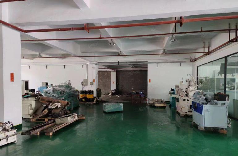 高大上一楼厂房 大岭山出租1000平厂房内有办公室配套齐全