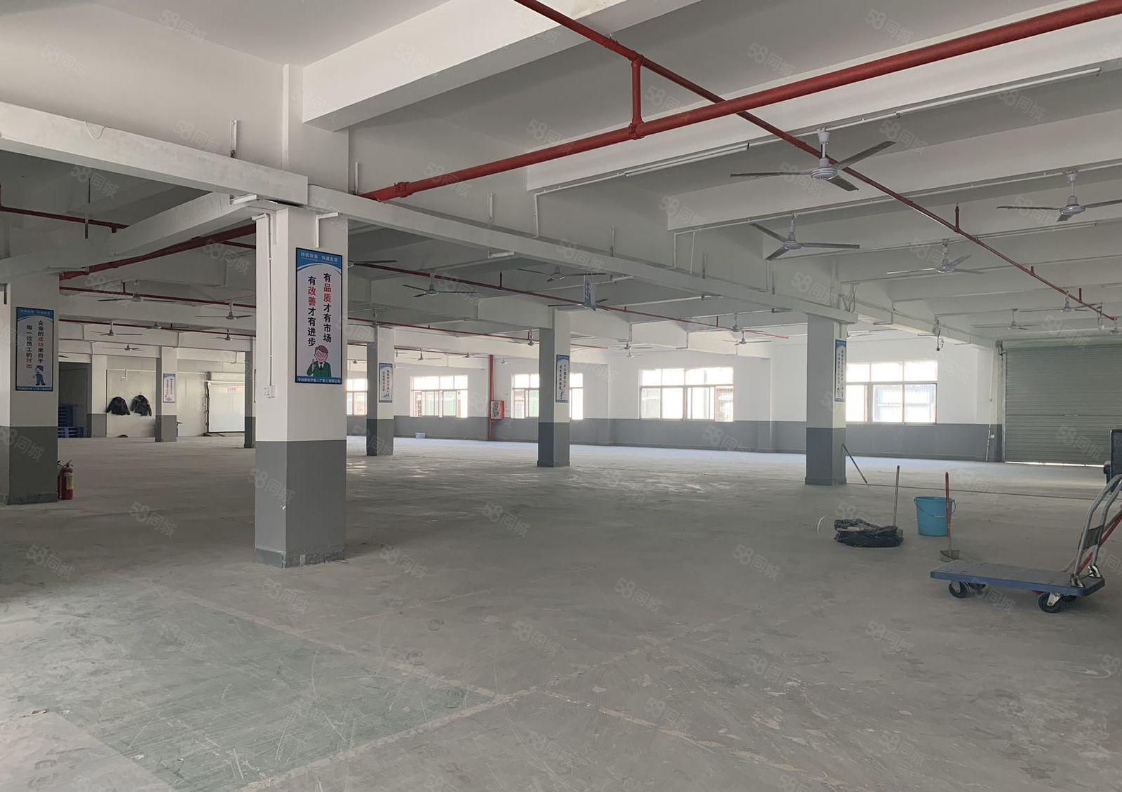 出租丨大岭山新出独门独院1至3层3600平方可分租带装修