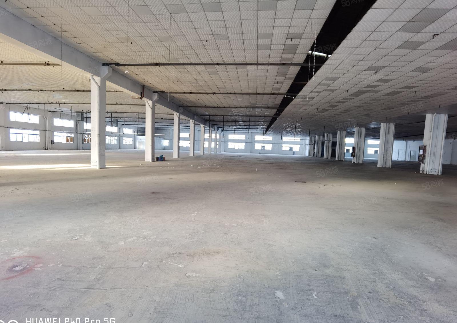 花园式厂房出租，空地大可分租，易招工，高速路口，交通便利