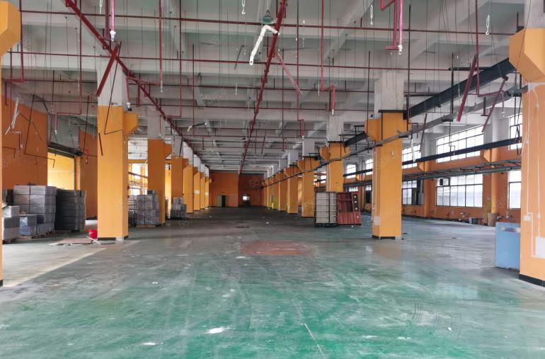 大岭山厂房出租 一楼一千平方米起租 独院厂房出租 原房东