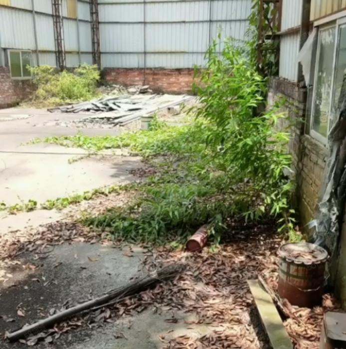 大岭山莞长路旁独院小面积厂房出租，单一层钢构 超低价