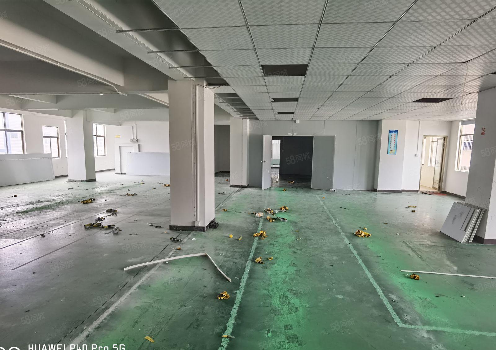 大岭山小面积无尘车间出租，豪华装修办公室，电梯3吨交通便利