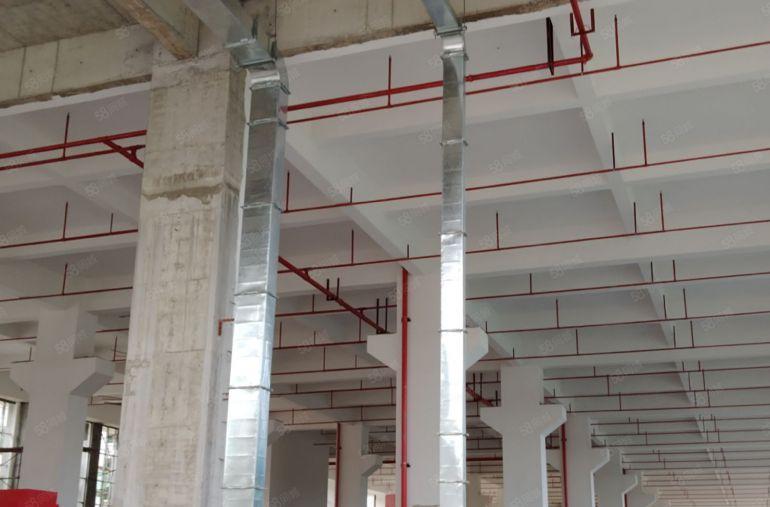 大塘龙大高速出口全新独院红本产业园招租