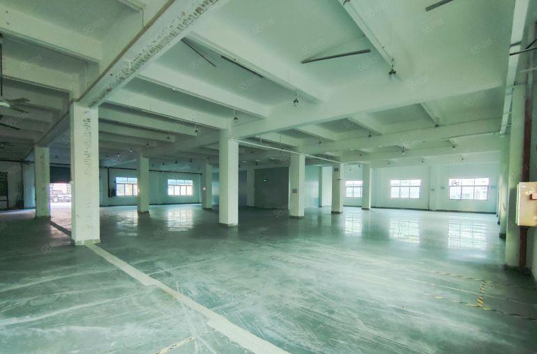 大岭山原房东新出精装修一楼标准厂房，带现成办公室，水电齐全