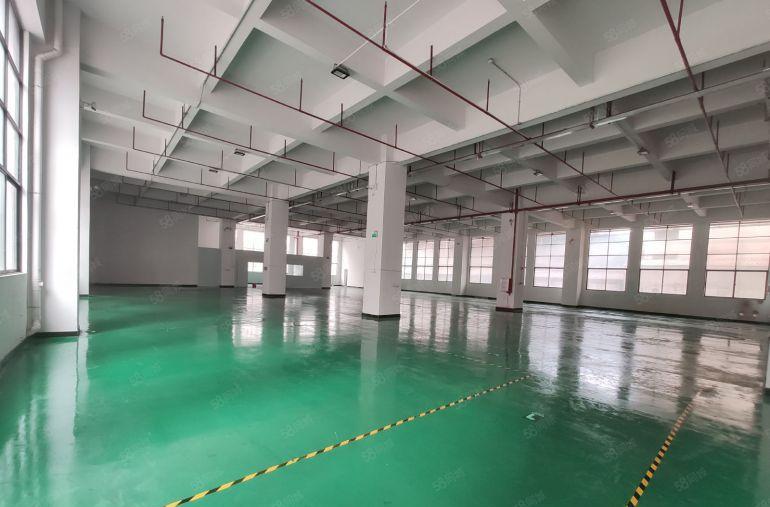 大岭山杨屋一手房东一楼1500平实际面积20块一平厂房出租