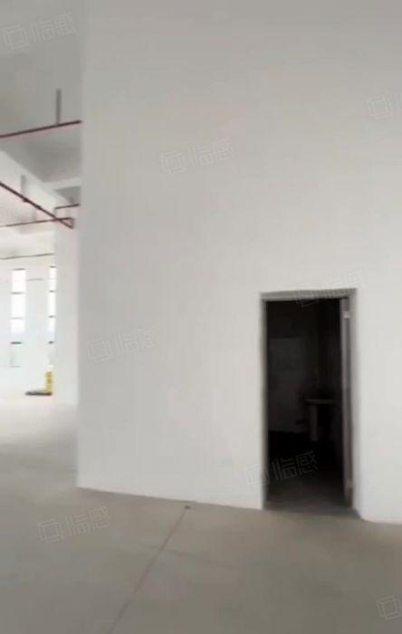 大岭山全新红本重工厂房出租 一楼1300，高7.5米 带牛角