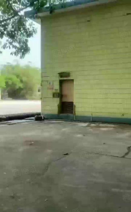 大岭山颜屋小面积单一层标准厂房出租 超低价 高6米 精装修