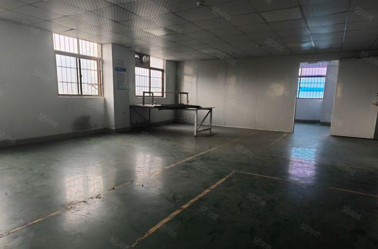 低价原房东厂房出租大岭山杨屋原房东楼上400平厂房出租