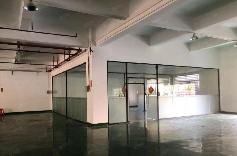 大岭山红本工业园区厂房出租 分租一楼1200平 精装修超低价