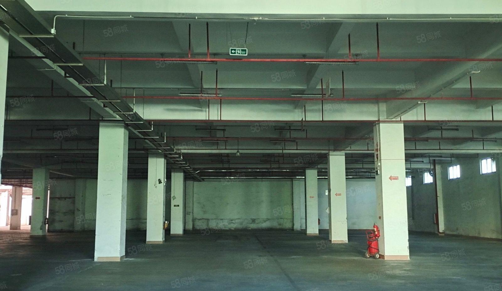 大岭山新出园区靓厂房 大车进出便利 可分租 适合电子小型加工