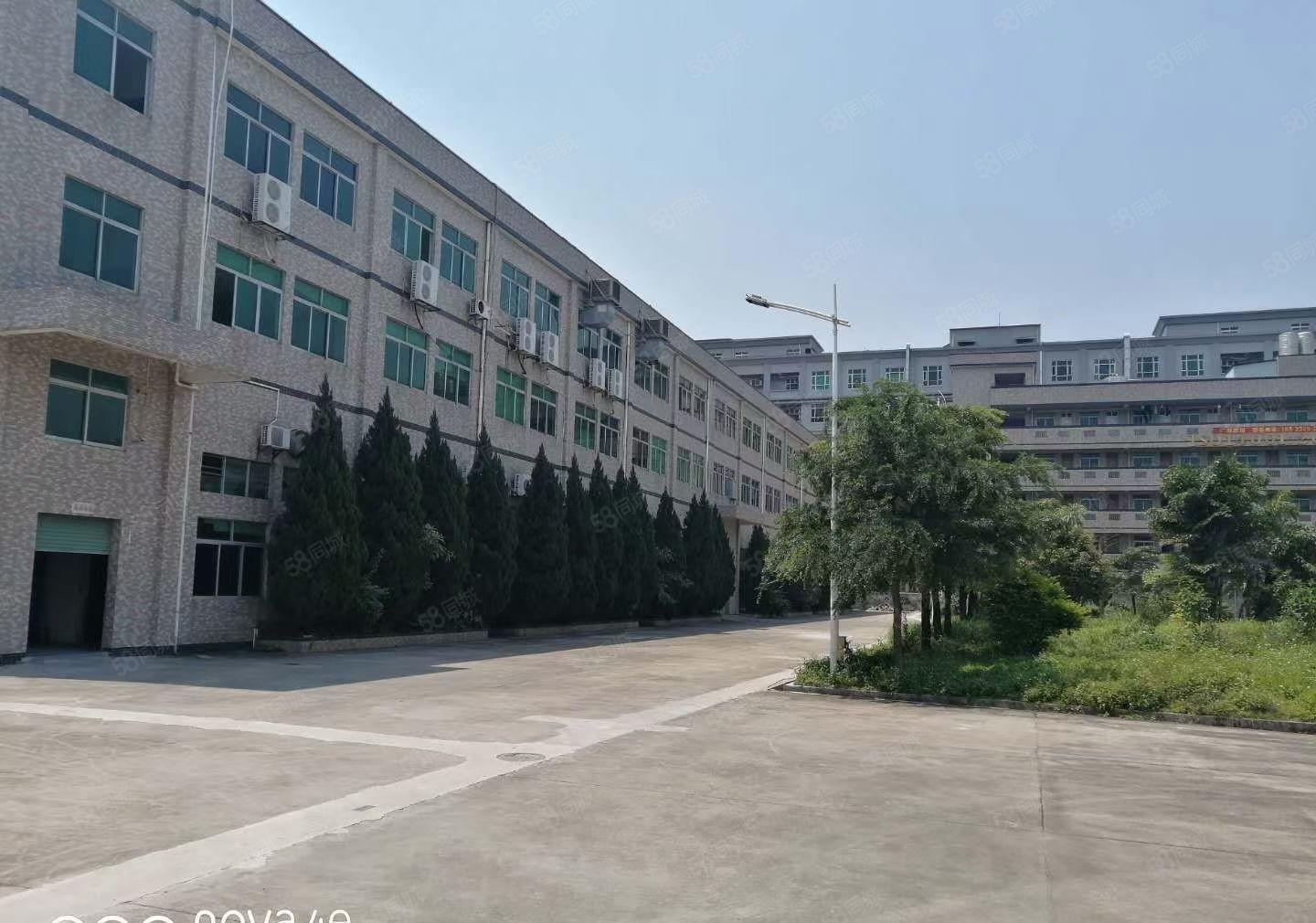 大岭山森林公园旁新出一楼厂房招和1680平6米高主线拉到车间