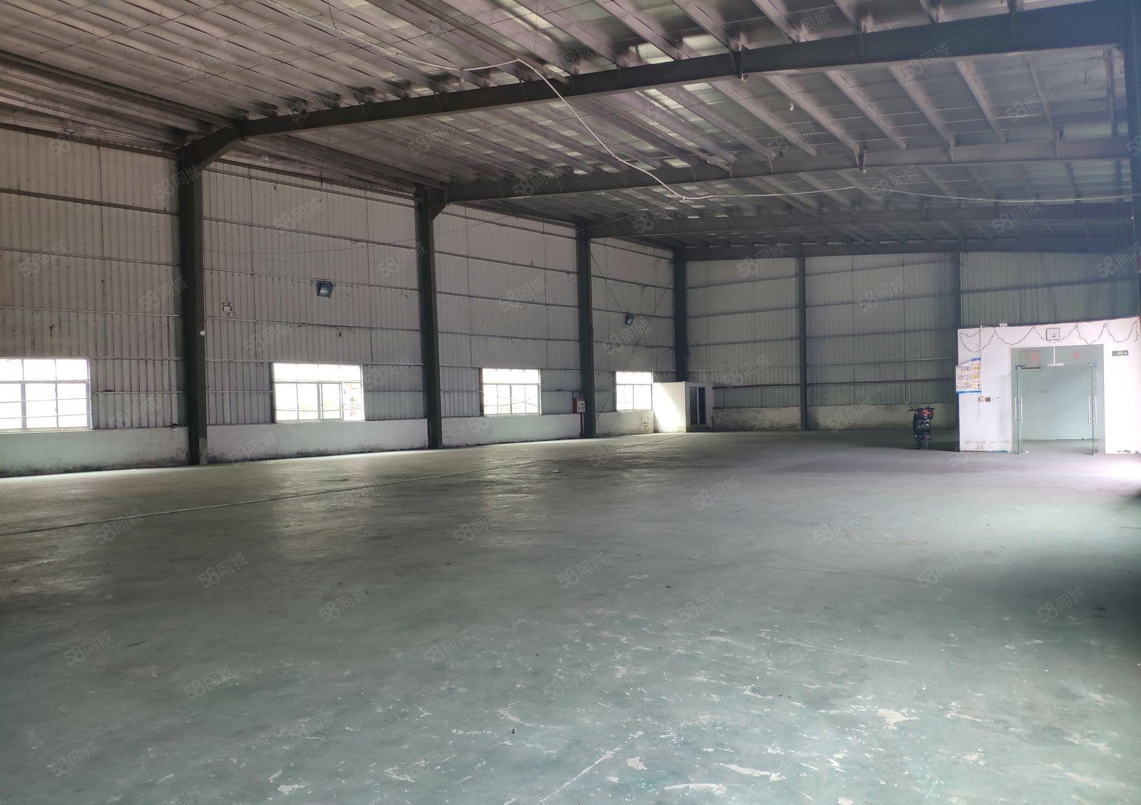 大岭山原房东低价一楼1600平单一层钢构厂房出租仓库出租