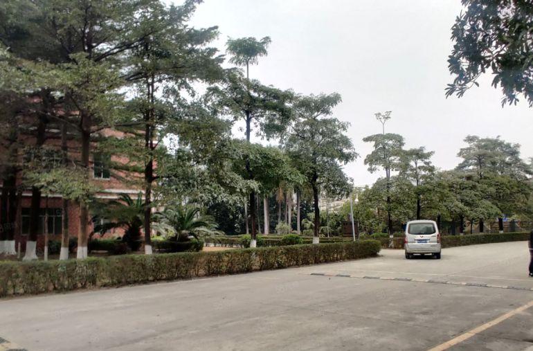 大岭山杨屋原房东厂房低价出租单一层每栋2000平