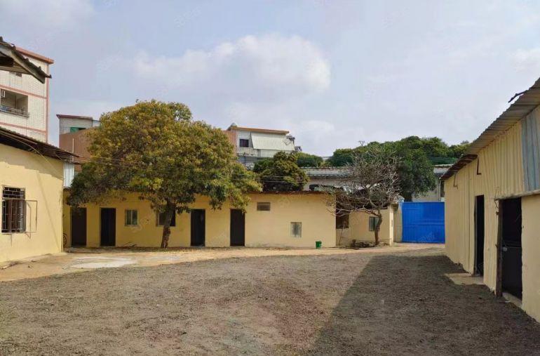 大岭山原房东独门独院厂房 超低价 实际面积 精装修 空地大