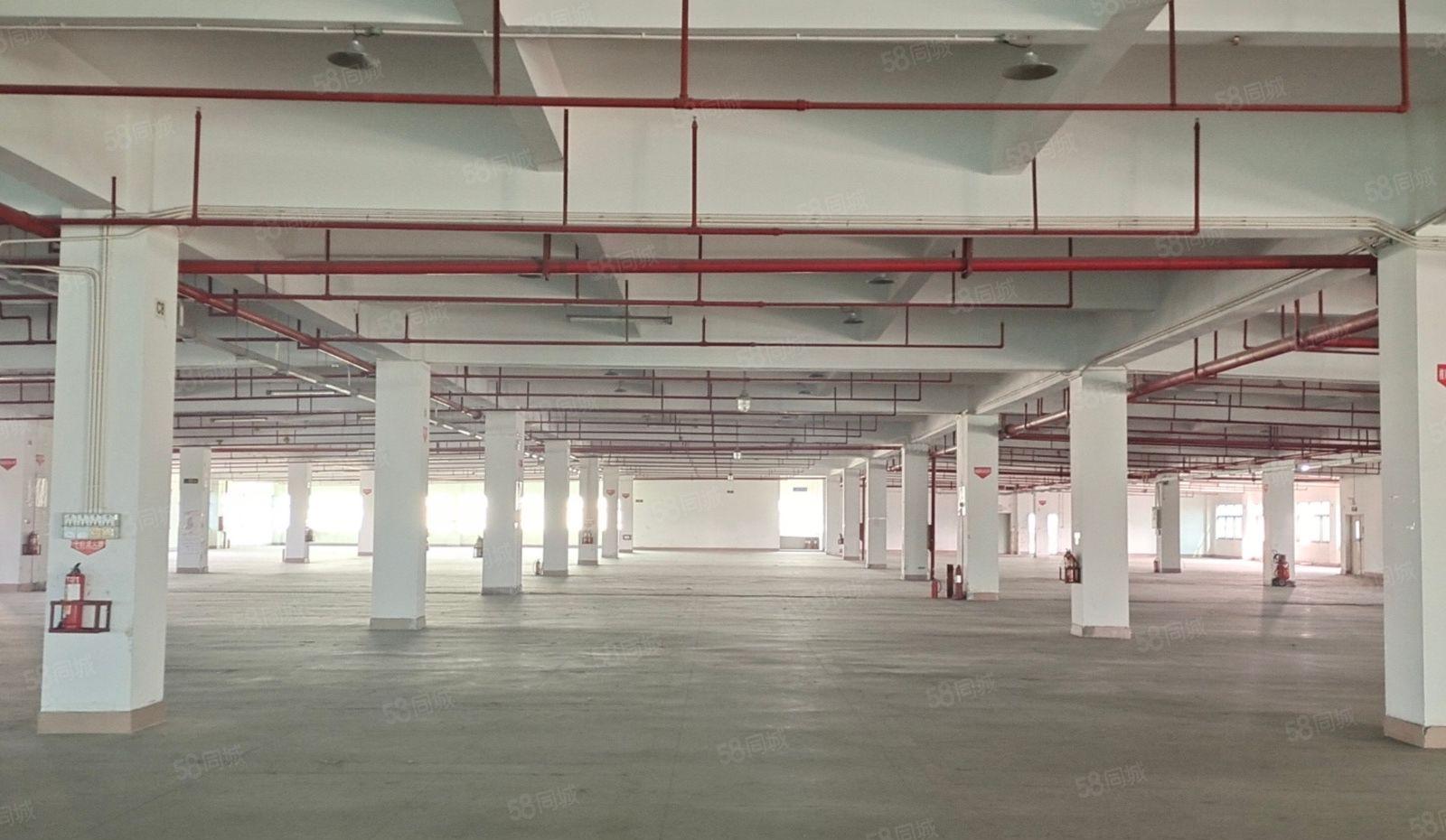 大岭山新出园区靓厂房 大车进出便利 可分租 适合电子小型加工