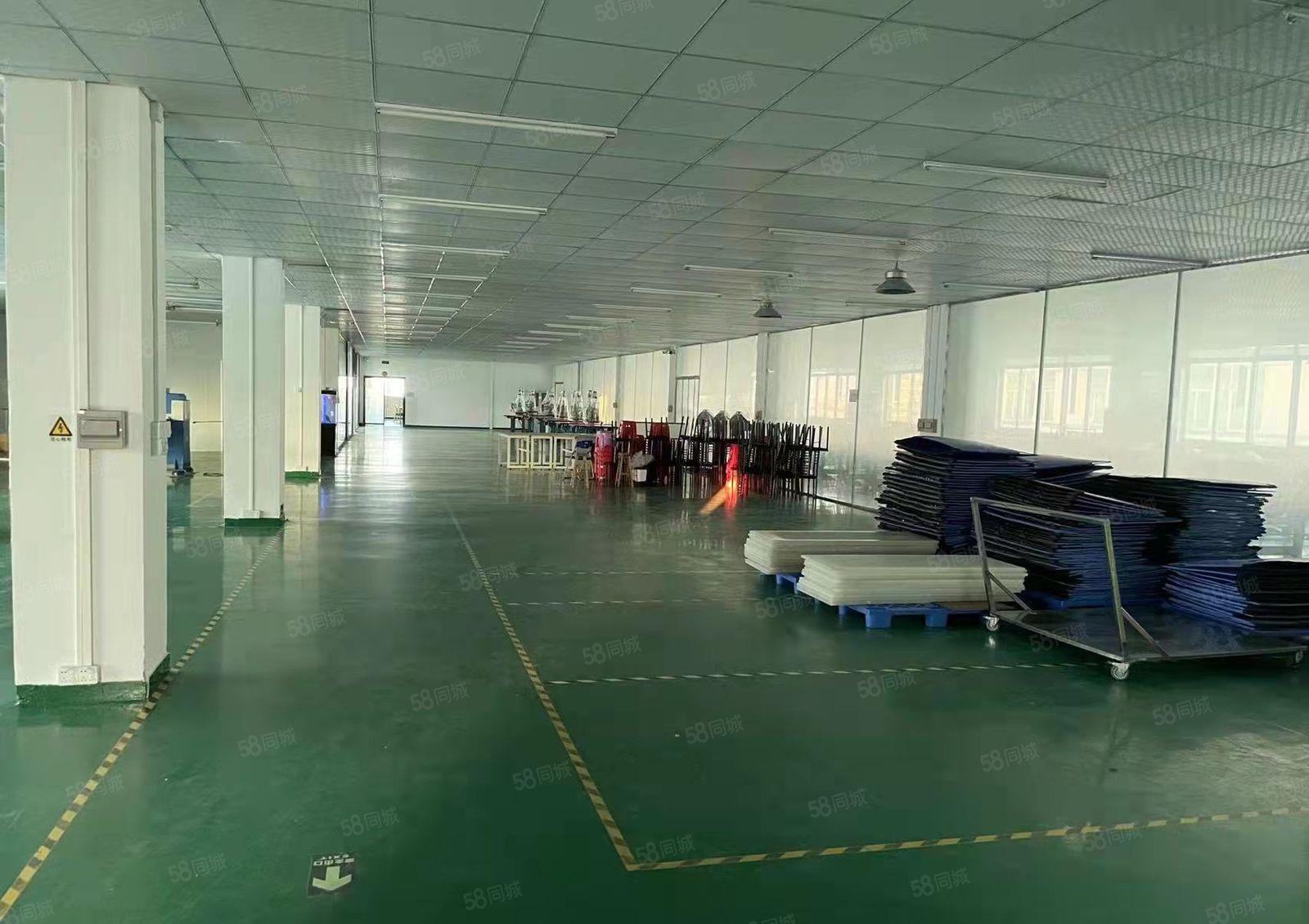 大岭山豪华装修标准厂房3楼1800平出租无转让费