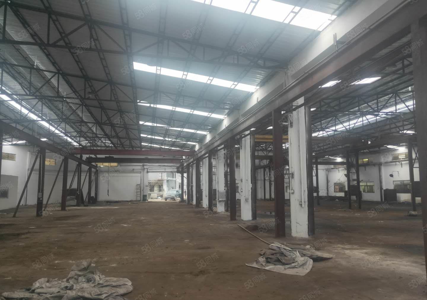 大岭山连马路新出重工业单一层3800平方厂房出租 带现成行车