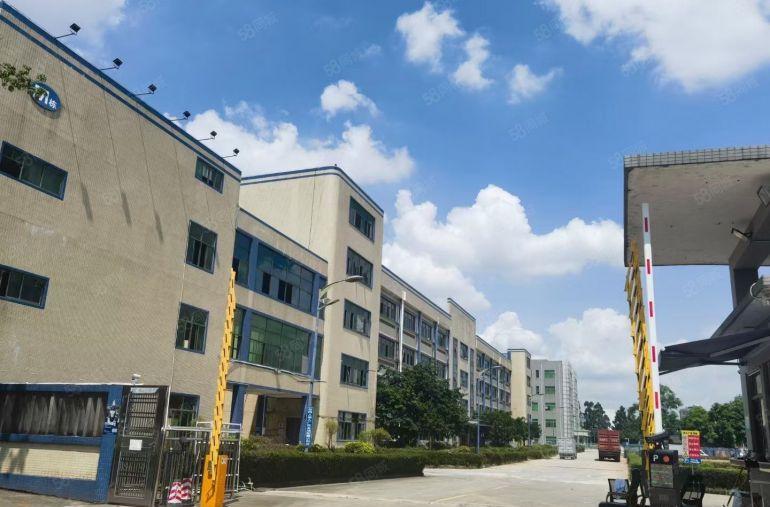 大岭山独院台湾房东花园式厂房空车位充足发财宝地大小可分租