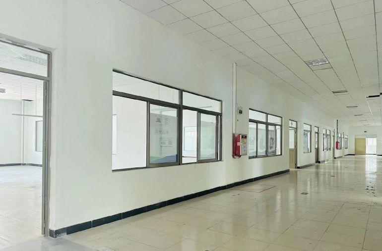 大岭山杨屋独门独院空地超大精装修可办环评水电齐全