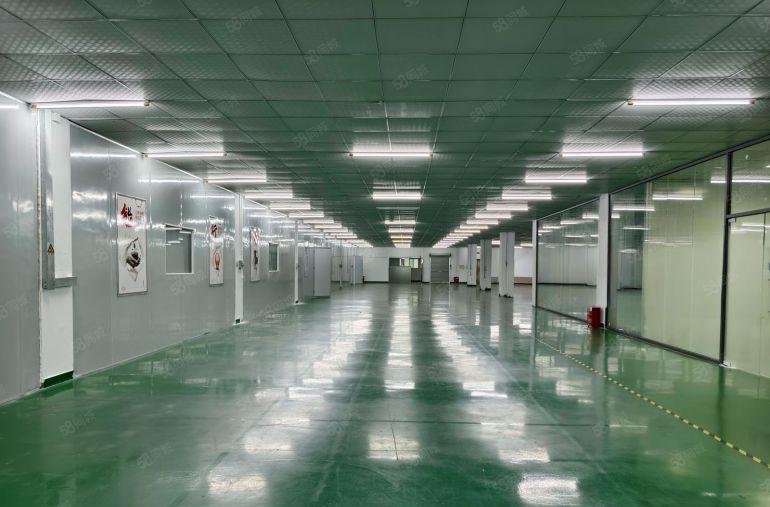 大岭山镇高新园区楼上现成装修厂房原房东直租水电齐全拎包入驻