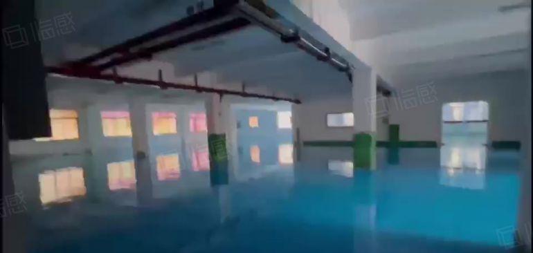 大岭山镇向东村园区厂房