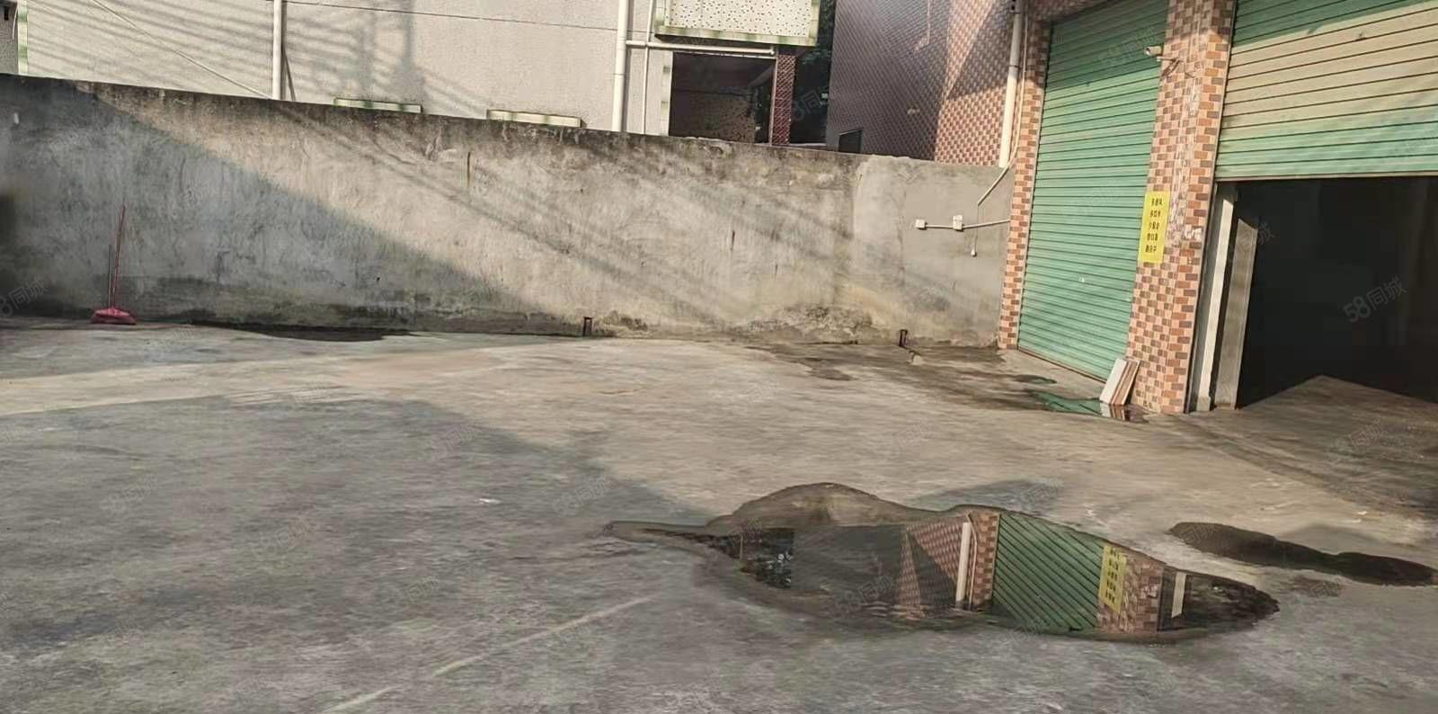 大岭山大岭村翁窑北街独栋独院厂房出租