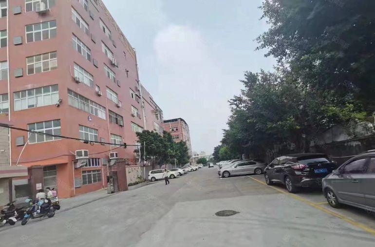 大岭山石大路旁园区重工业厂房出租带航车 精装修 超低价