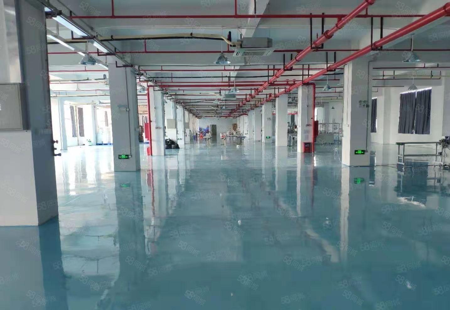 原房东直租 杨屋村新空出现成精装修厂房分租 可办环坪拎包入驻