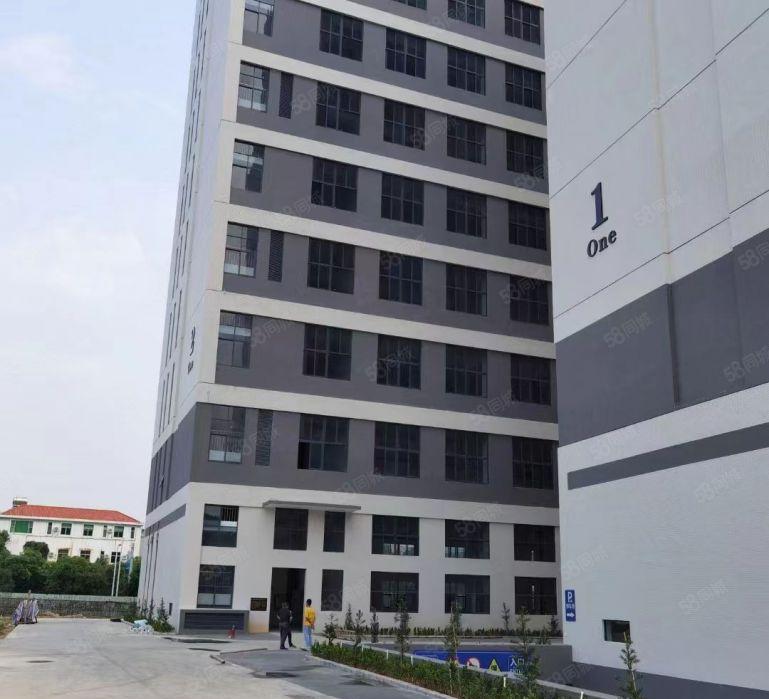 大岭山全新红本重工厂房出租 一楼1300，高7.5米 带牛角