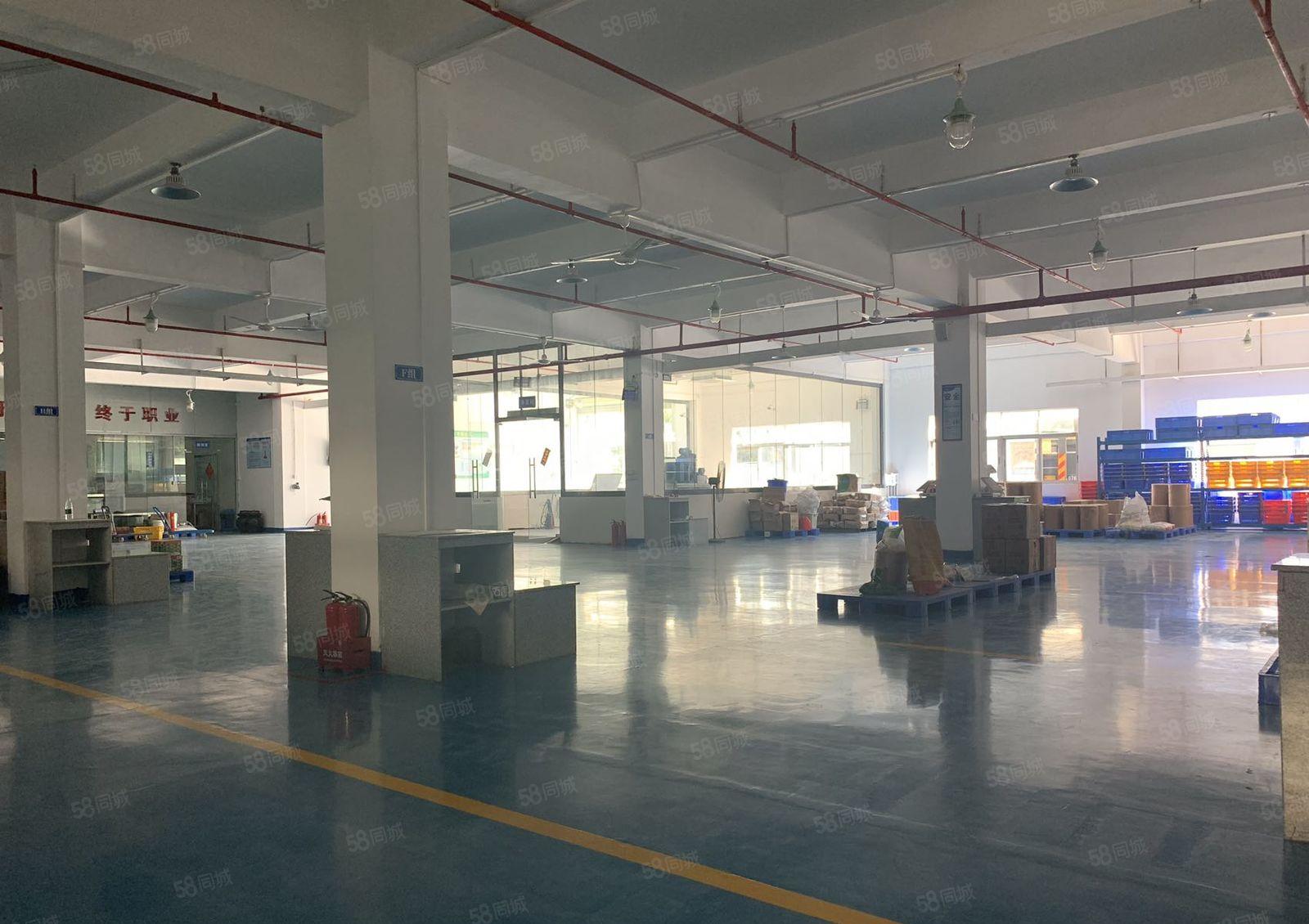 出租丨大岭山新出独门独院1至3层3600平方可分租带装修