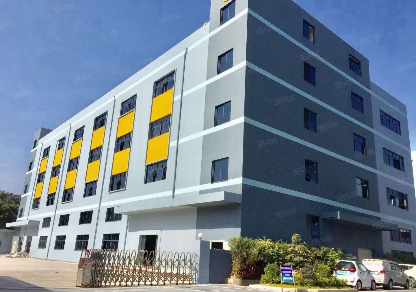 大岭山新出原房东2580平方精装修厂房