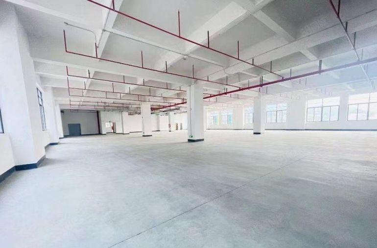 大岭山本地房东工业用地可办环评大小分租不限行业