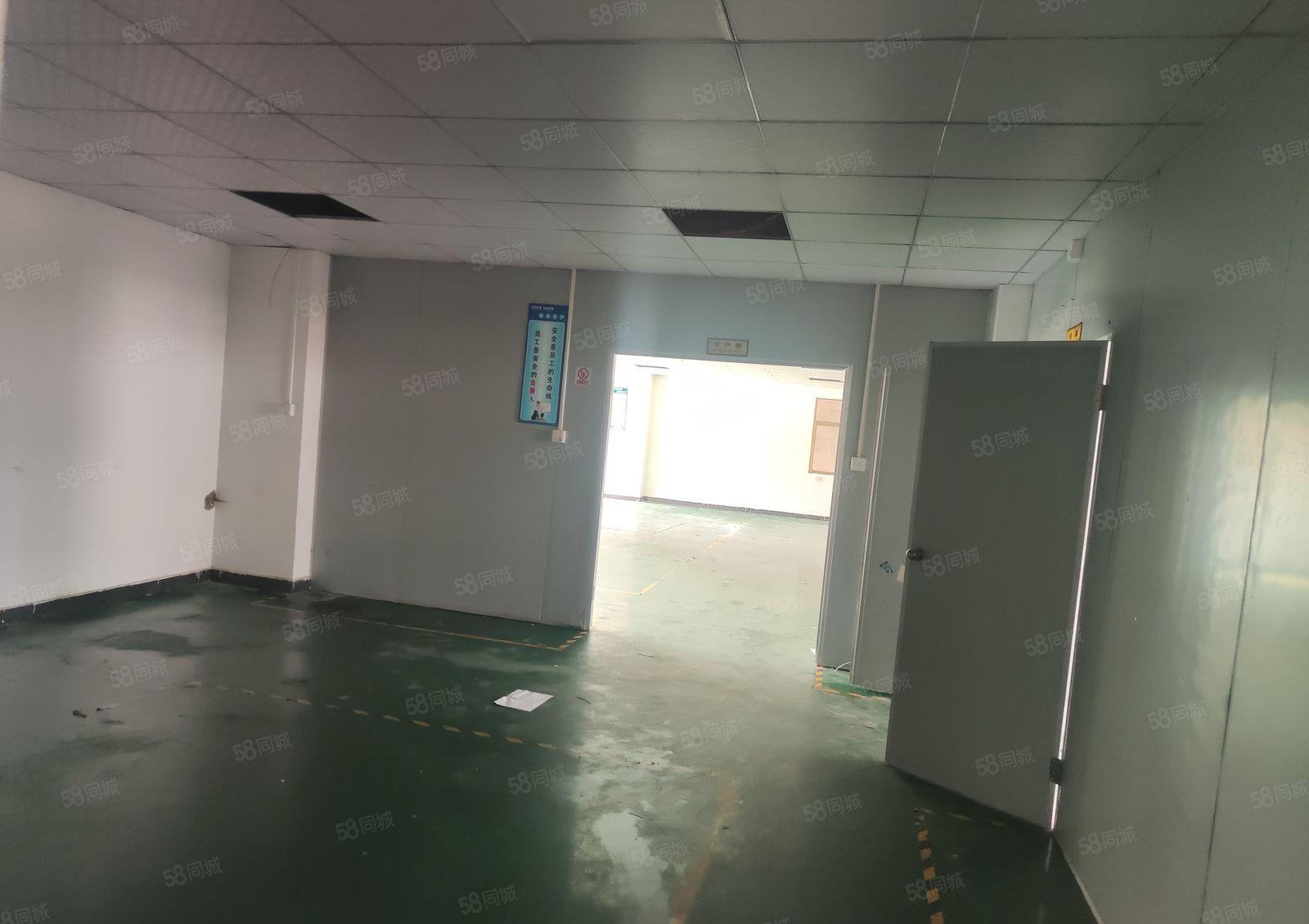 大岭山杨屋新空楼上整层720平方带豪华办公室厂房出租