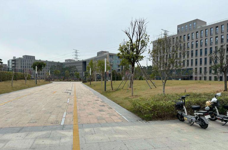 大岭山镇上市公司形象厂房出租，靠近高速入口，一手房东