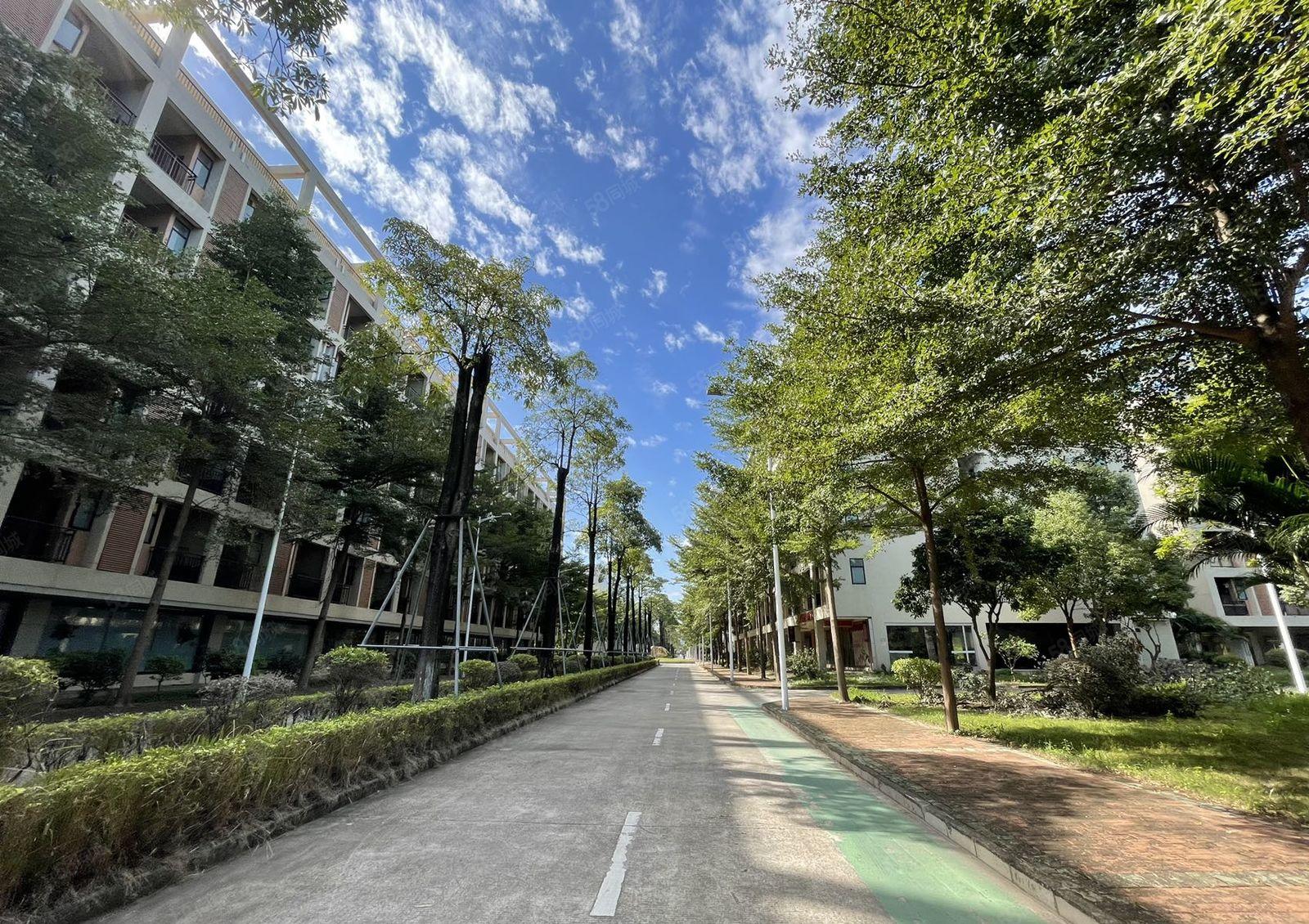 原房东花园式国有双证厂房招租，园区占地20万平，建筑32万平