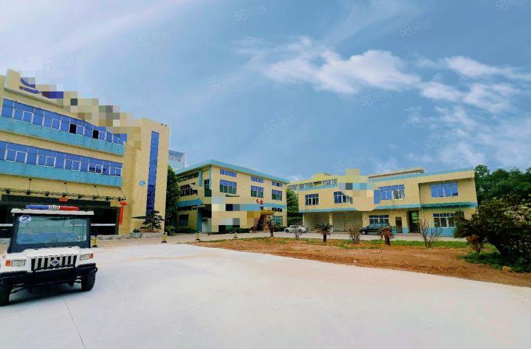 大岭山950平一楼 现成水电办公室装修  现成航车龙大高速口