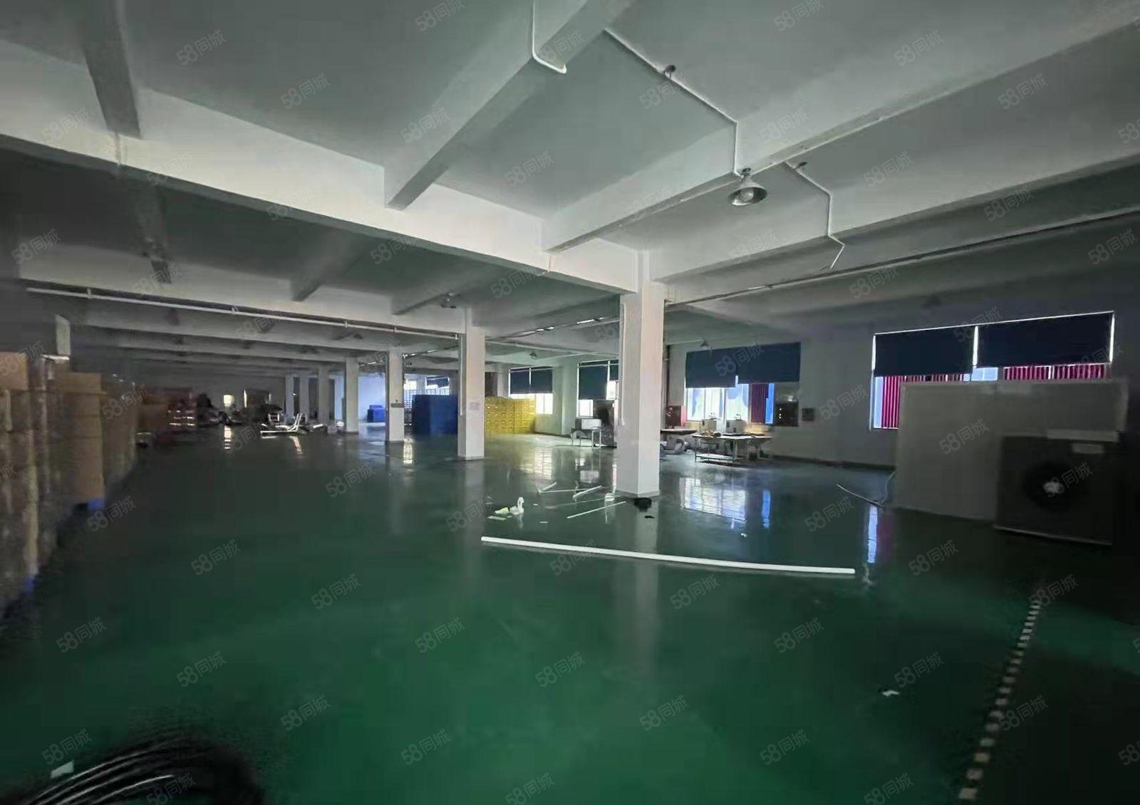 大岭山豪华装修标准厂房3楼1800平出租无转让费