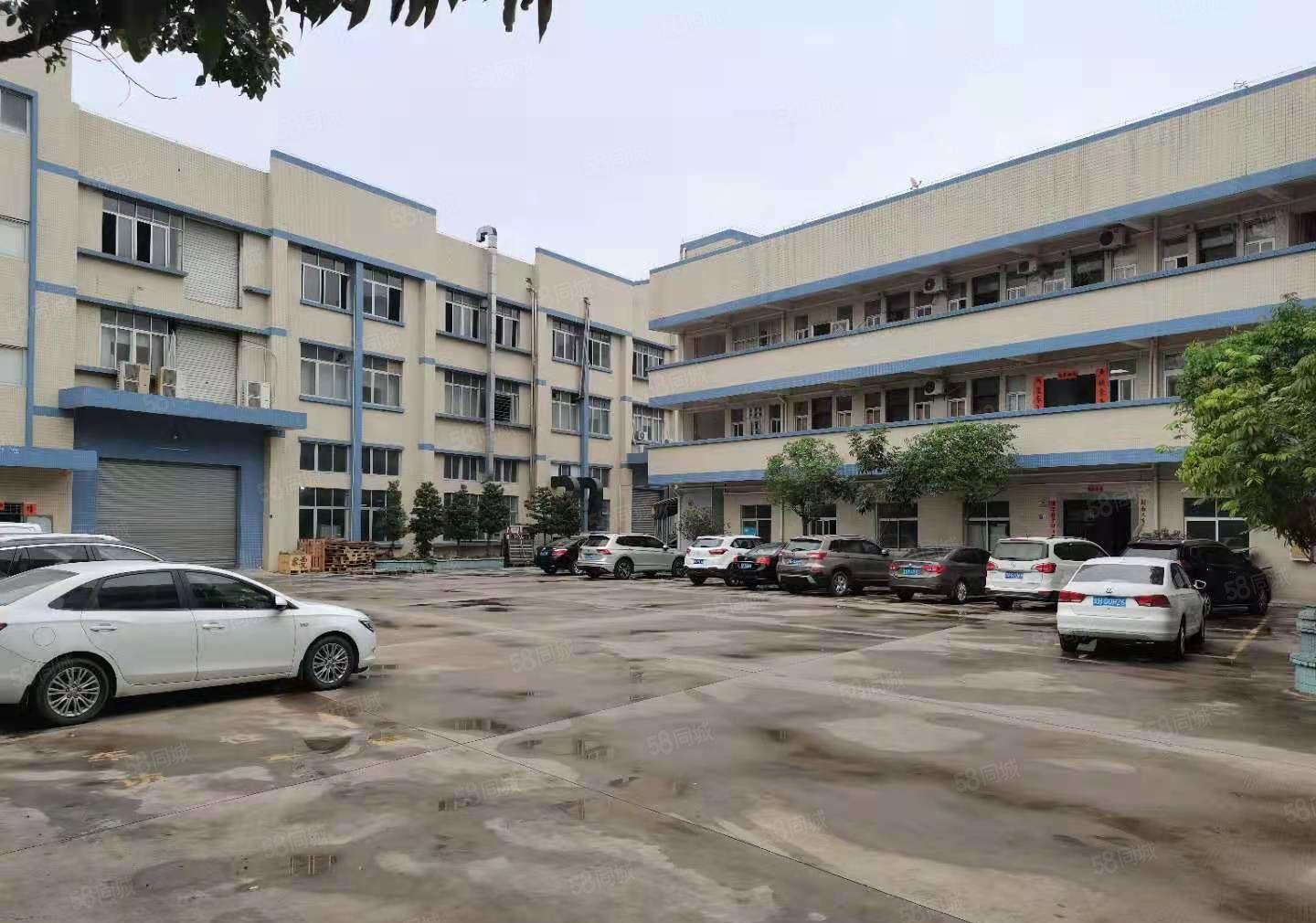 不限电可办环坪  大岭山新出独院原房东3层5000平厂房出租