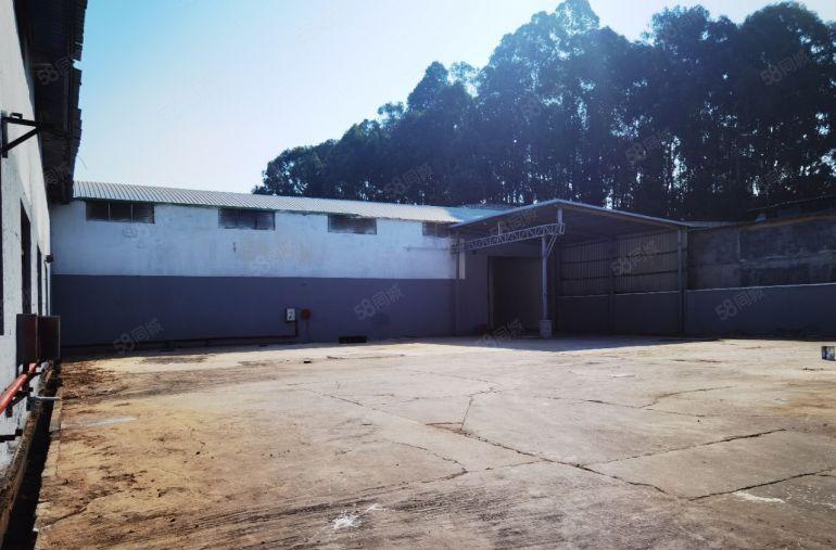 大岭山镇新出原房东独院单一层钢构厂房出租16000平方