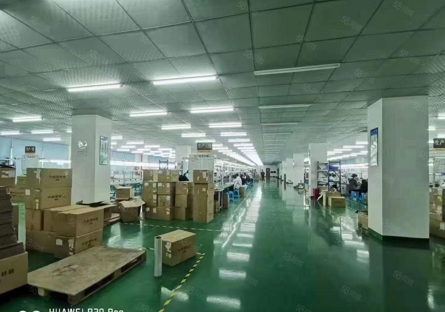 大岭山唯一独院厂房出租 带现成装修6000平