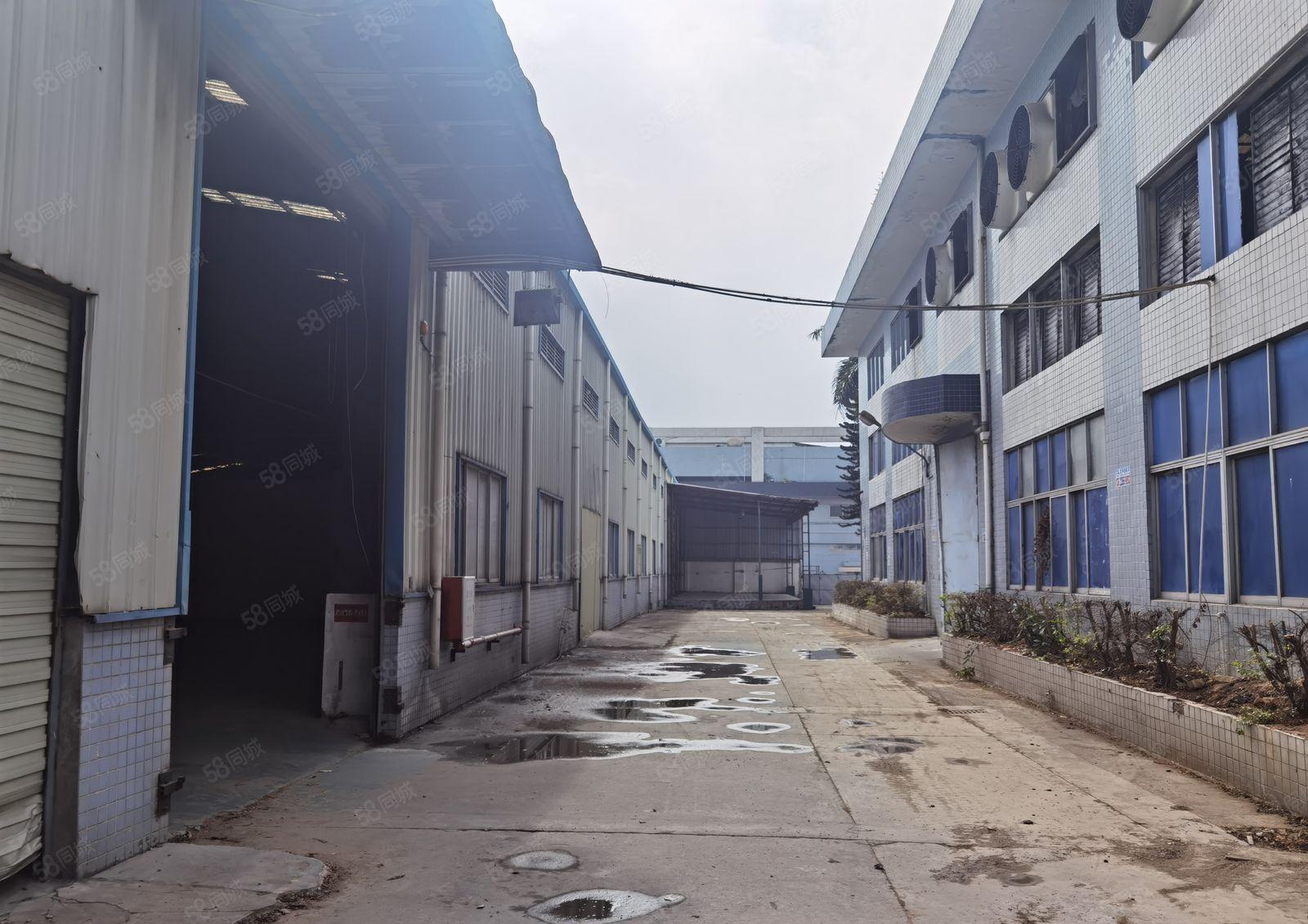 滴水8米原房东独门独院实际面积出租，水电齐全，交通便利