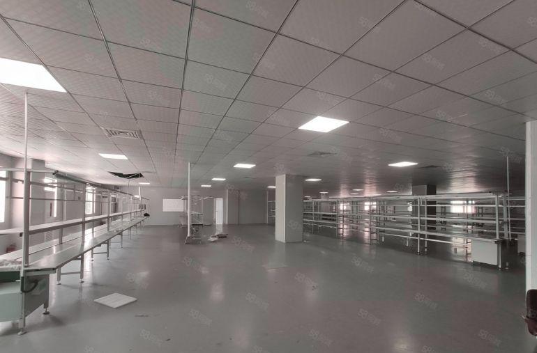 大岭山杨屋三楼2000平方精装修电子车间厂房出租