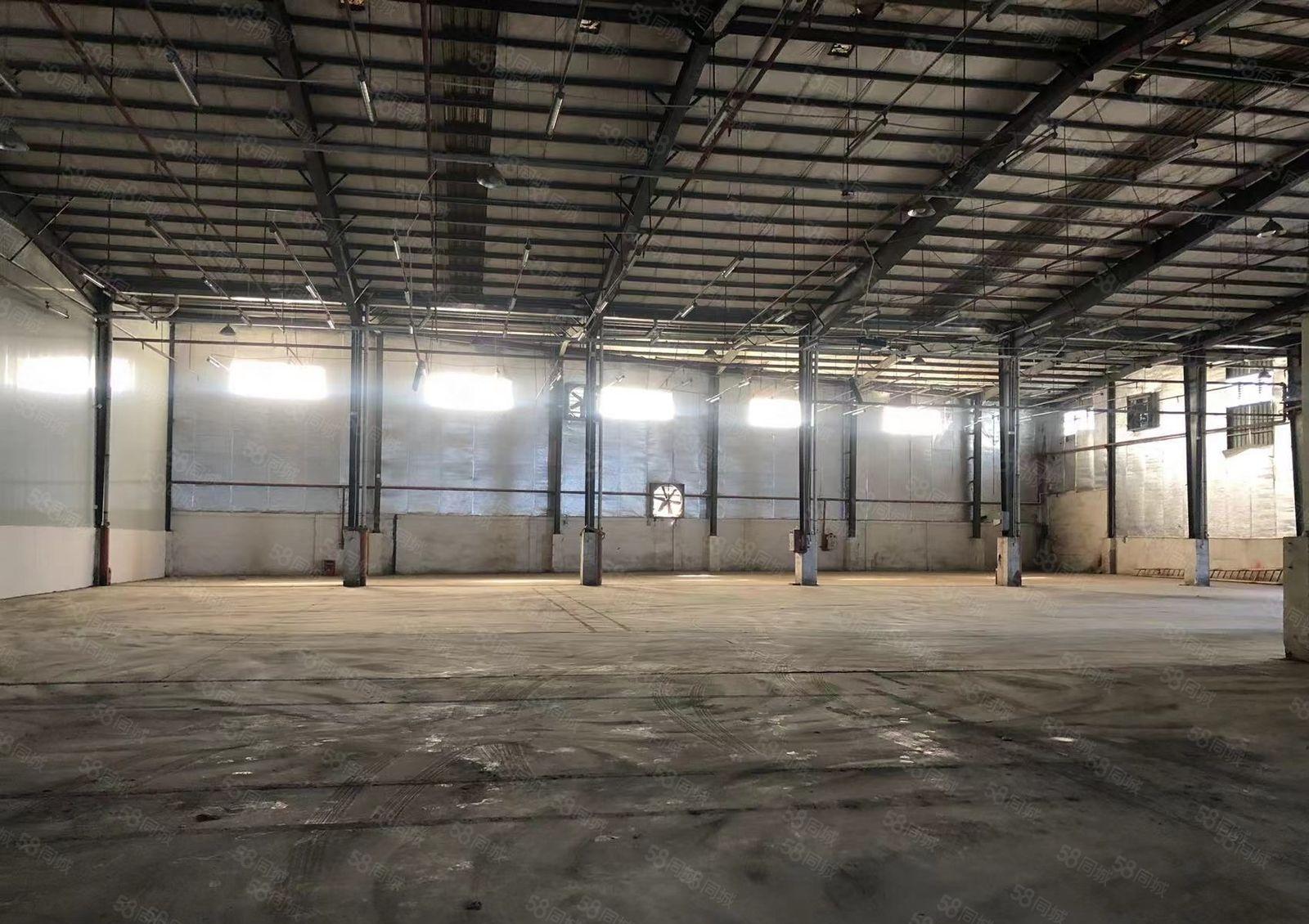 大岭山大塘2400平单一层钢构厂房出租，正规工业厂房出租