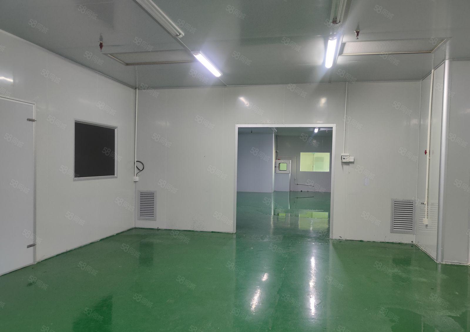 大岭山工业园20000平方精装修厂房出租500平方起分租。